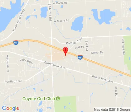 logo-image - new-hudson-mi